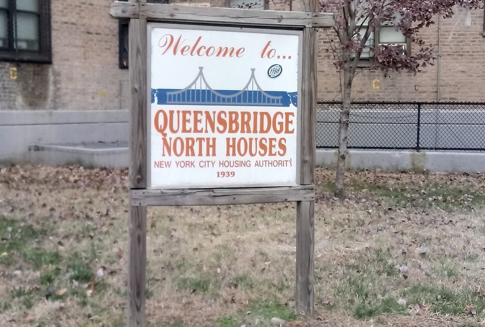 Newsman and author Dominic Carter talked to residents of the Queensbridge Projects about Amazon coming in.