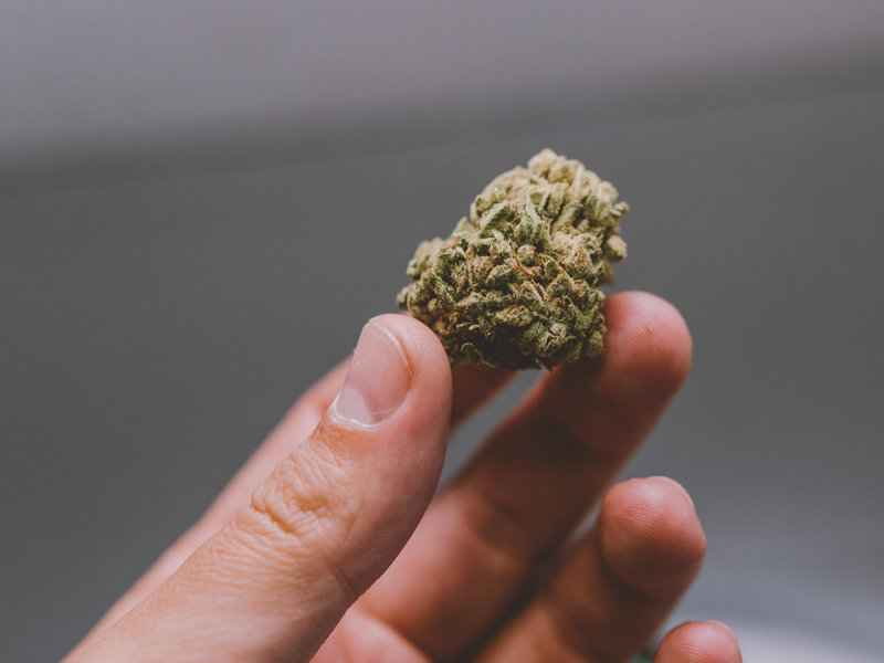 Legalized Marijuana in NY Stalled: – Dominic Carter – Medium